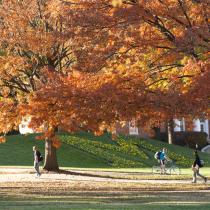 Fall leaves on tress at the University of Maryland College Park campus