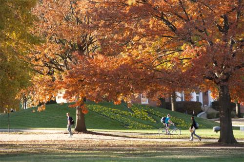 Fall leaves on tress at the University of Maryland College Park campus